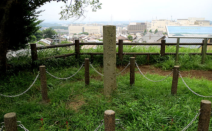 弘法松公園