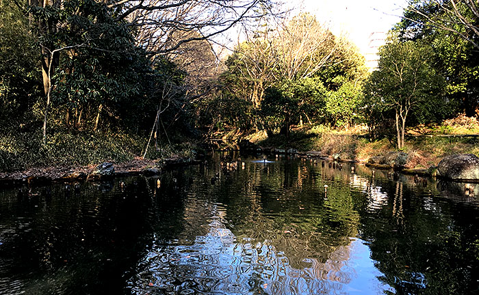 むじなが池公園