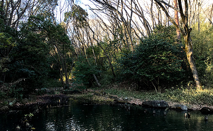 むじなが池公園