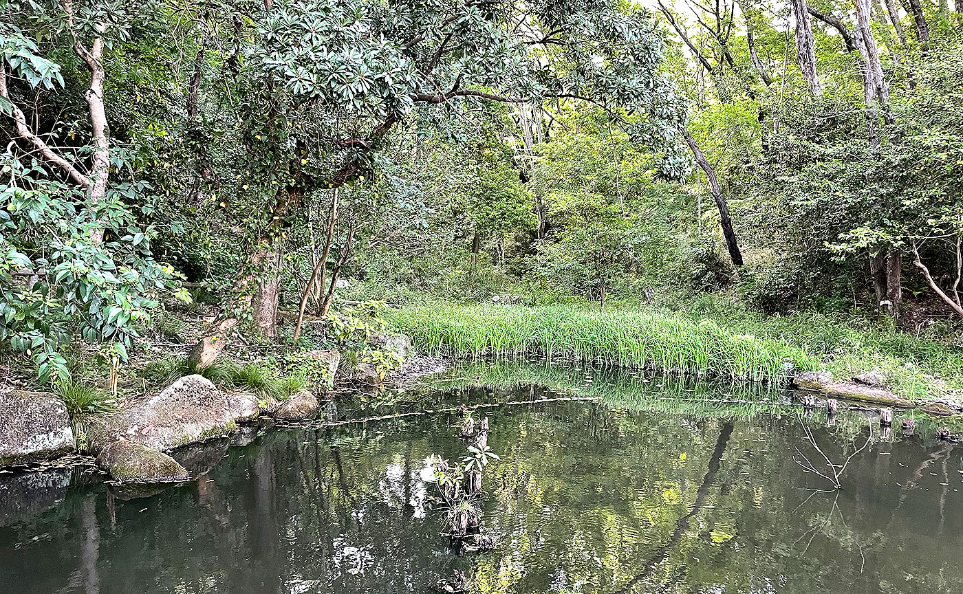 むじなが池公園