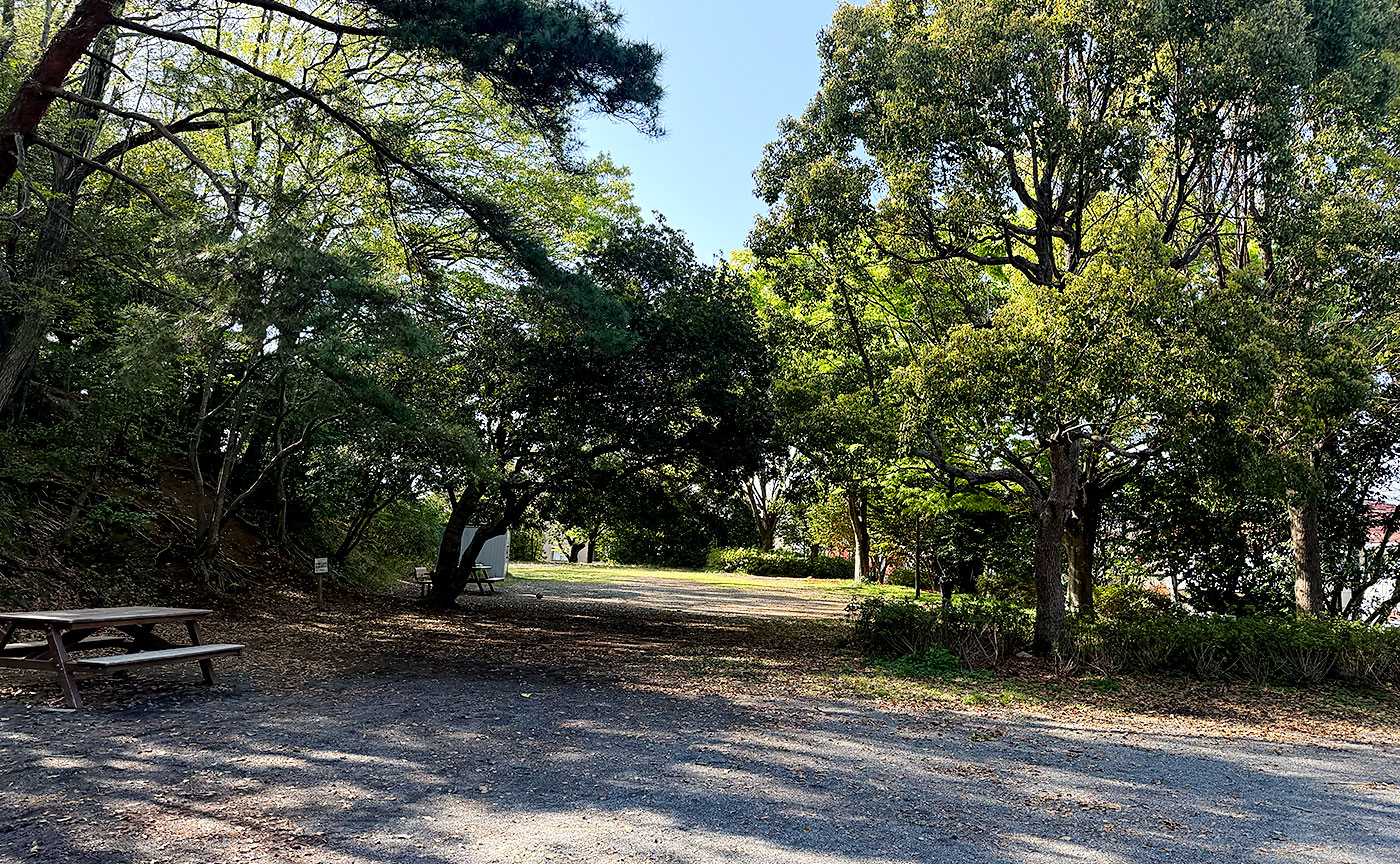白鳥公園