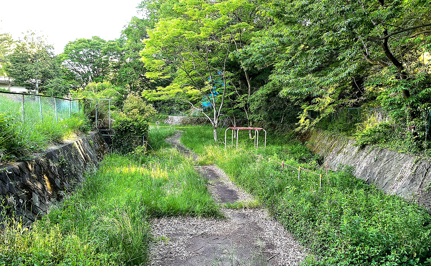 むじなが池公園