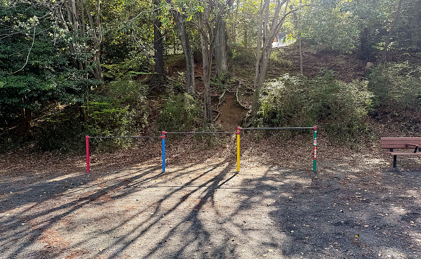 白鳥公園