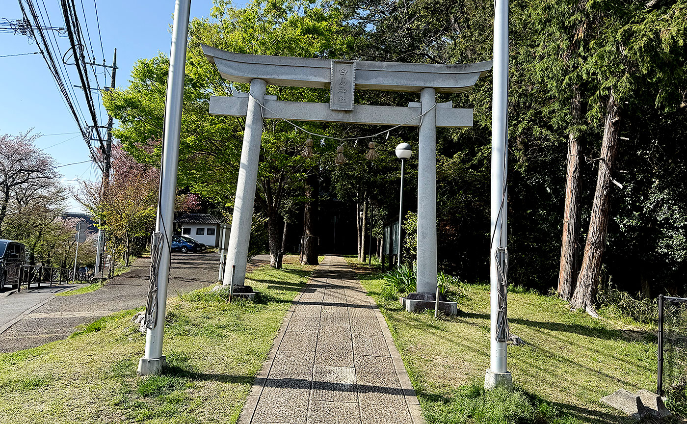 白鳥公園