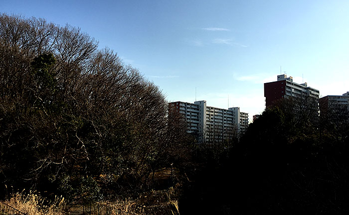 むじなが池公園