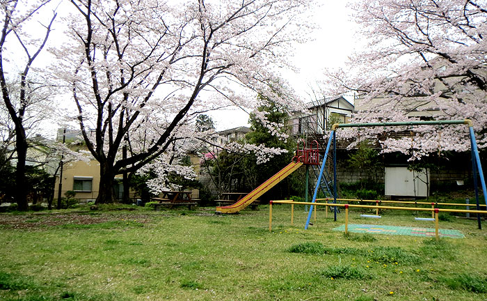 虹ヶ丘北公園