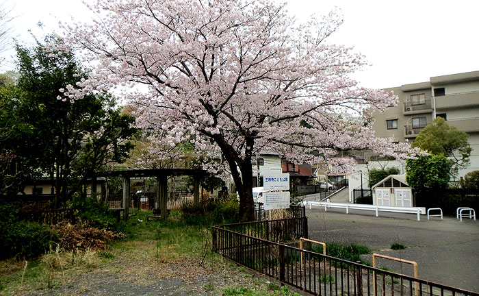 王禅寺こども公園