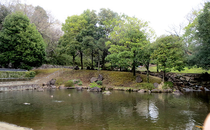 王禅寺ふるさと公園(川崎市制60周年記念総合公園)