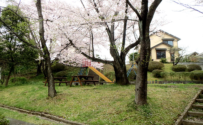 虹ヶ丘北公園