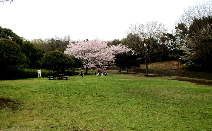 王禅寺ふるさと公園(川崎市制60周年記念総合公園)