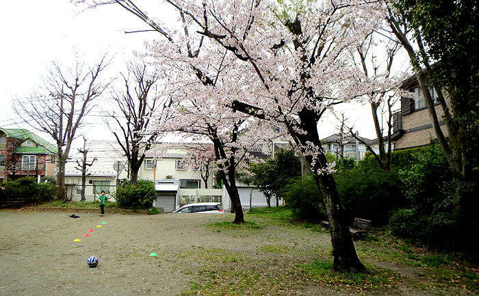 王禅寺北第4公園