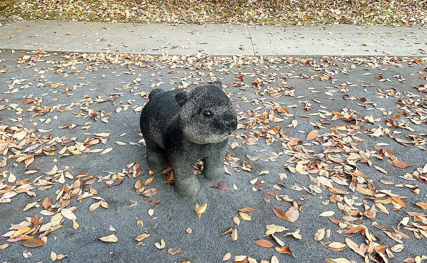 百合丘3丁目けやき公園