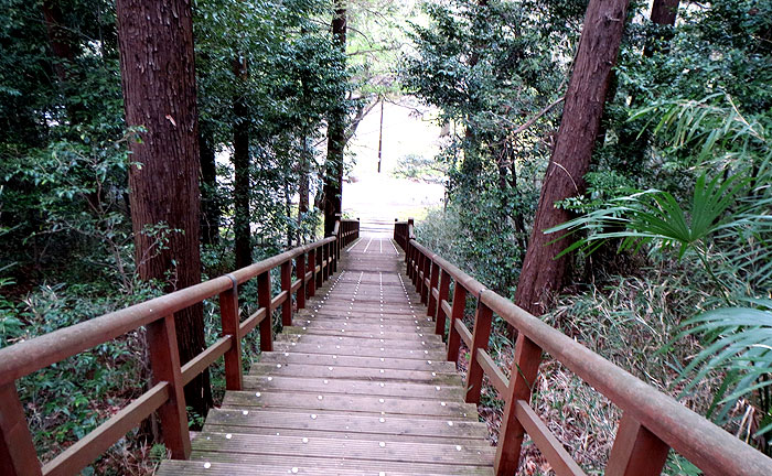 王禅寺ふるさと公園(川崎市制60周年記念総合公園)