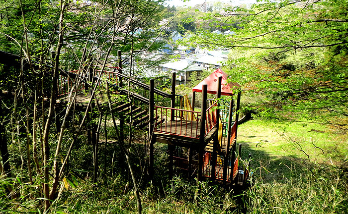 向原の森公園