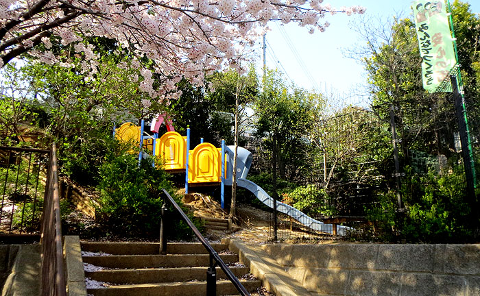 向原弥生公園