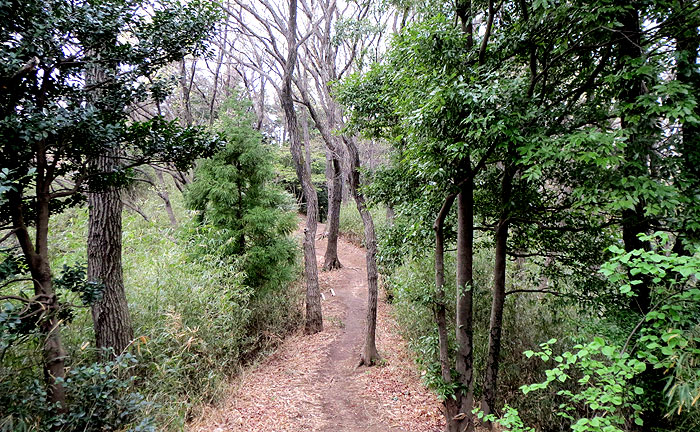 王禅寺ふるさと公園(川崎市制60周年記念総合公園)