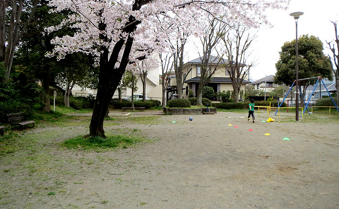 王禅寺北第4公園