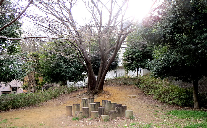 白鳥小台公園