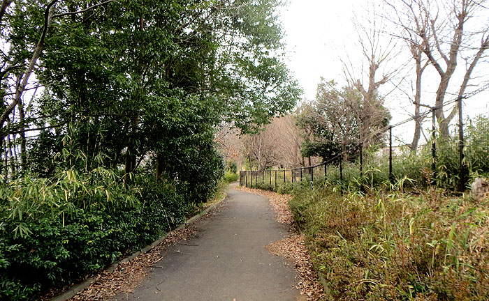 五力田見晴し公園