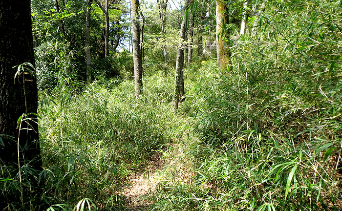 向原の森公園