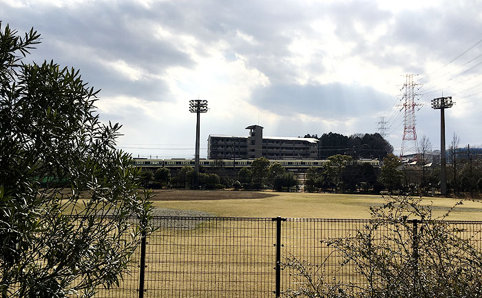 とんびいけ公園