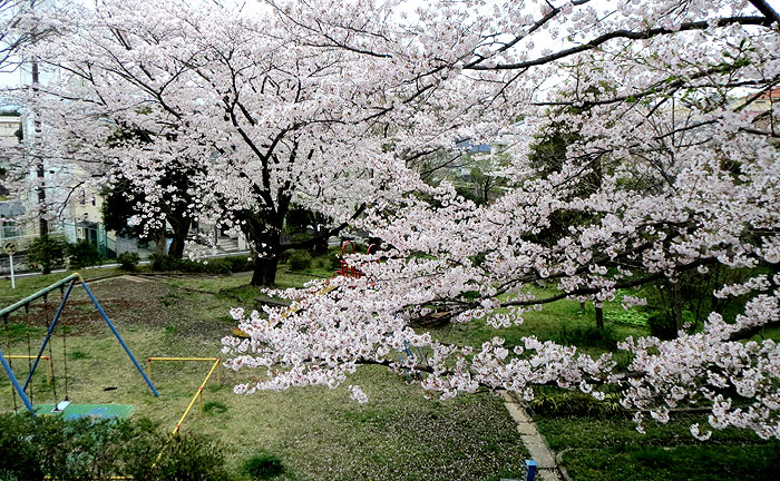 虹ヶ丘北公園