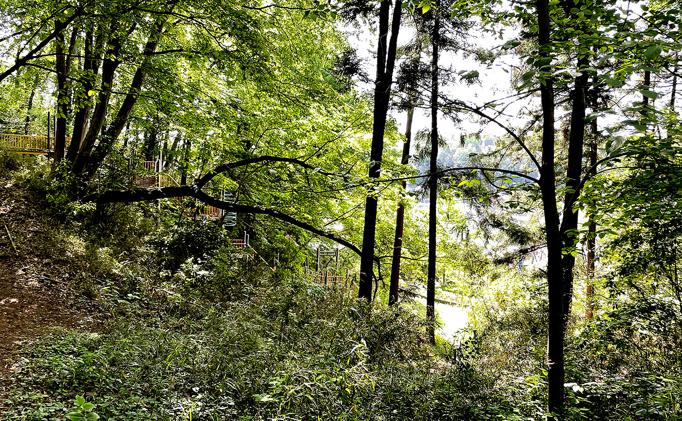 向原の森公園