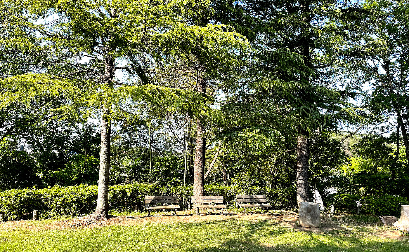 化粧面公園