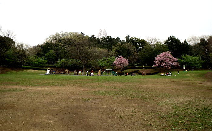 王禅寺ふるさと公園(川崎市制60周年記念総合公園)