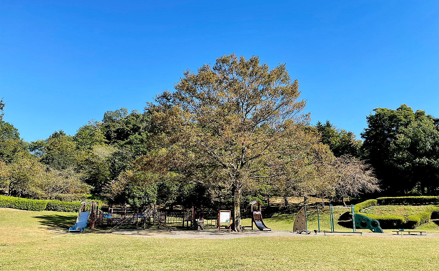 王禅寺ふるさと公園