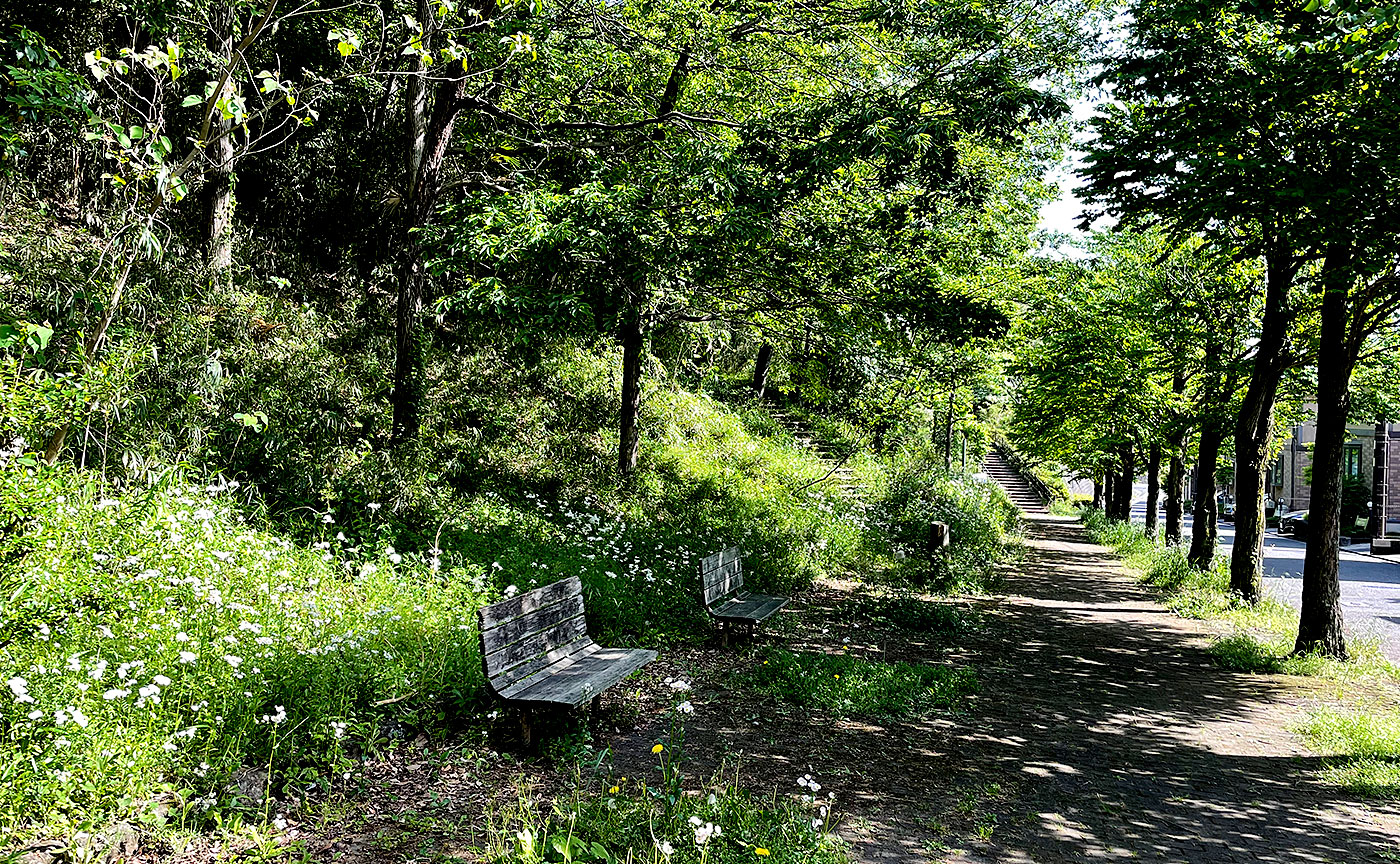 向原の森公園