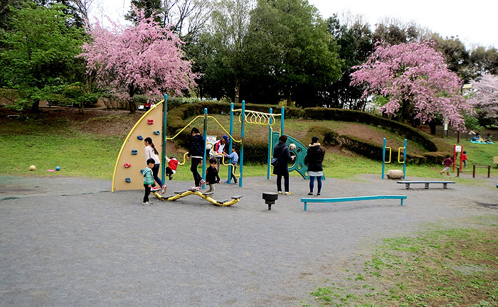 王禅寺ふるさと公園(川崎市制60周年記念総合公園)