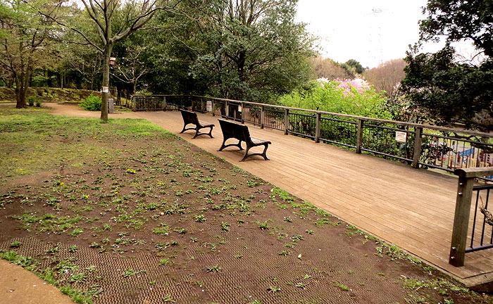 王禅寺ふるさと公園(川崎市制60周年記念総合公園)