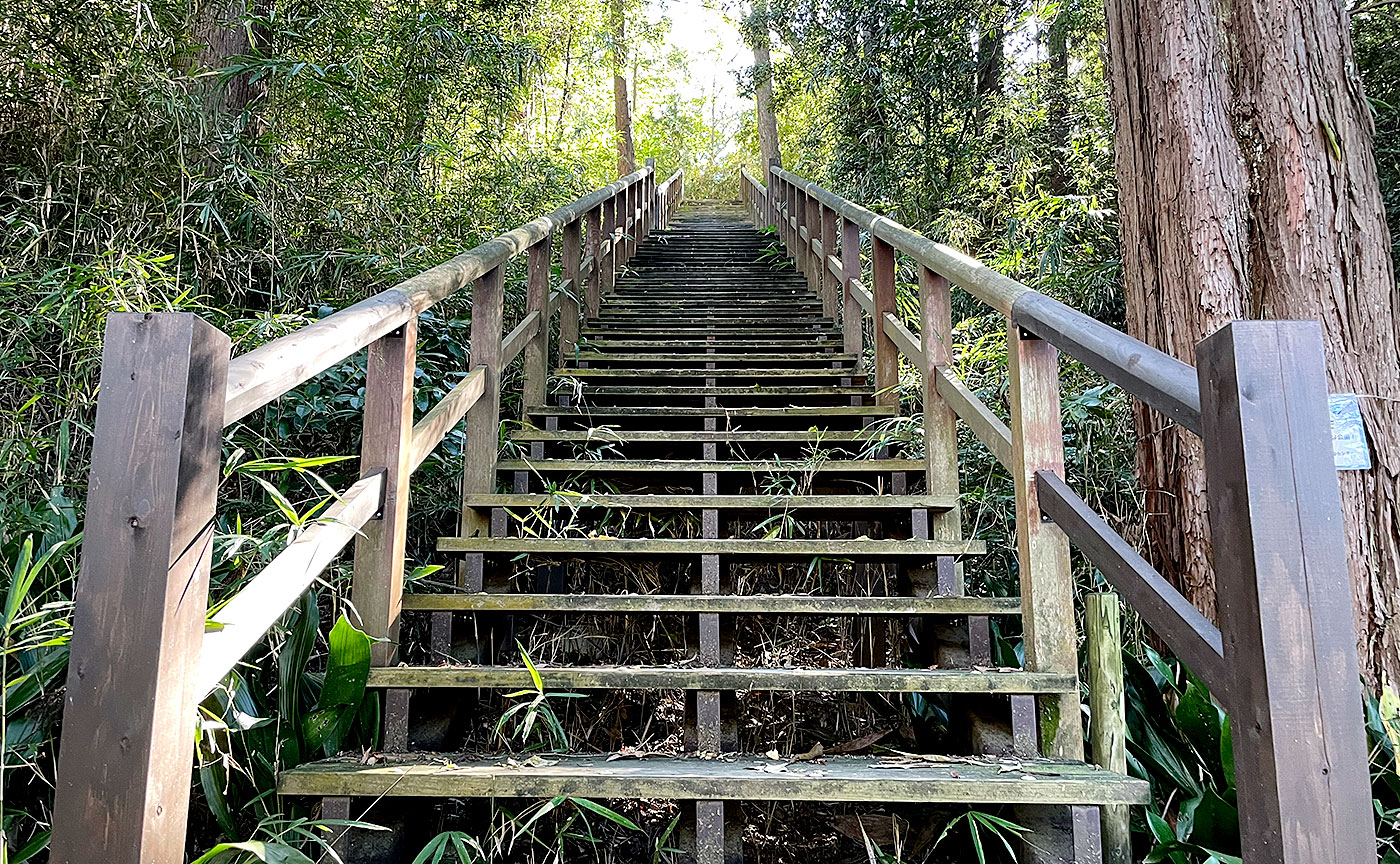 王禅寺ふるさと公園