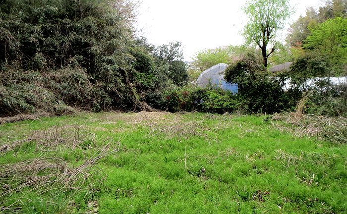 王禅寺ふるさと公園(川崎市制60周年記念総合公園)