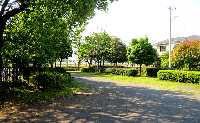 山口台公園