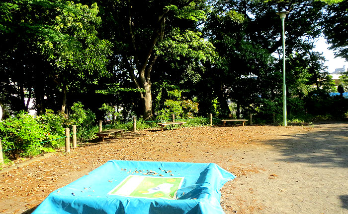 高石桜ヶ丘公園