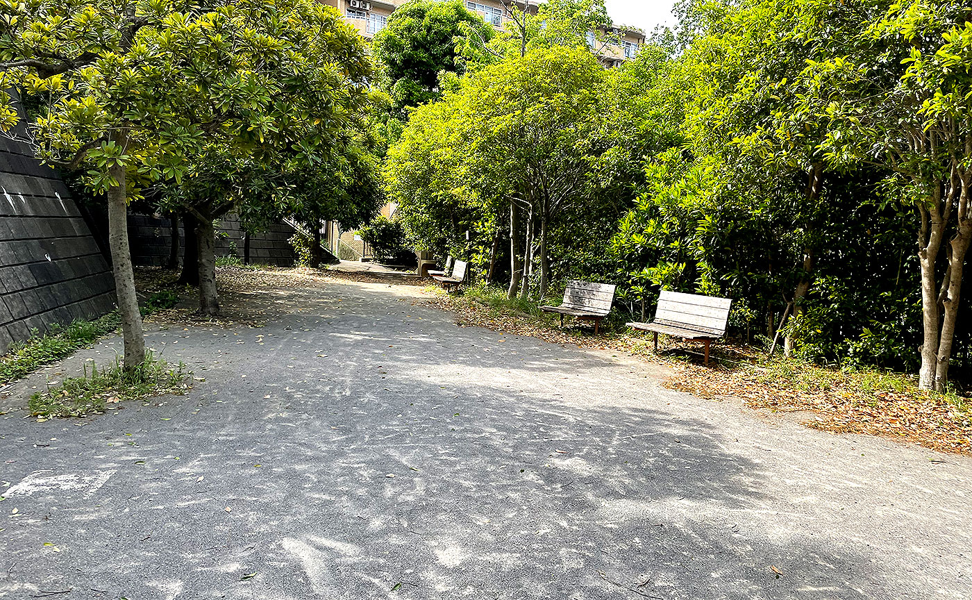 高石桜ヶ丘公園