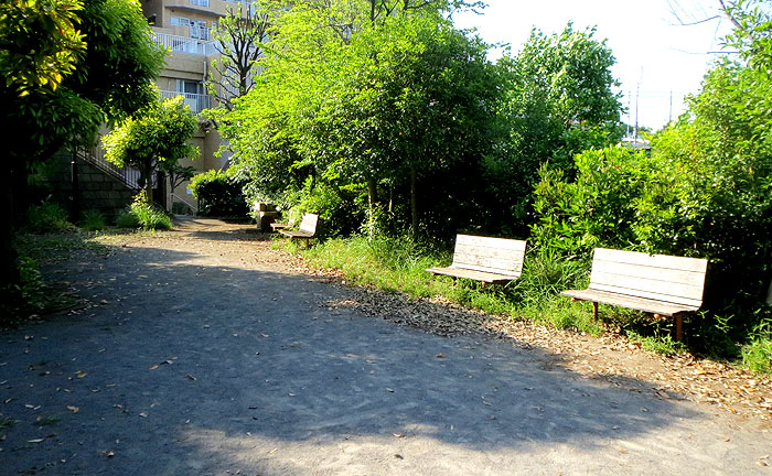 高石桜ヶ丘公園