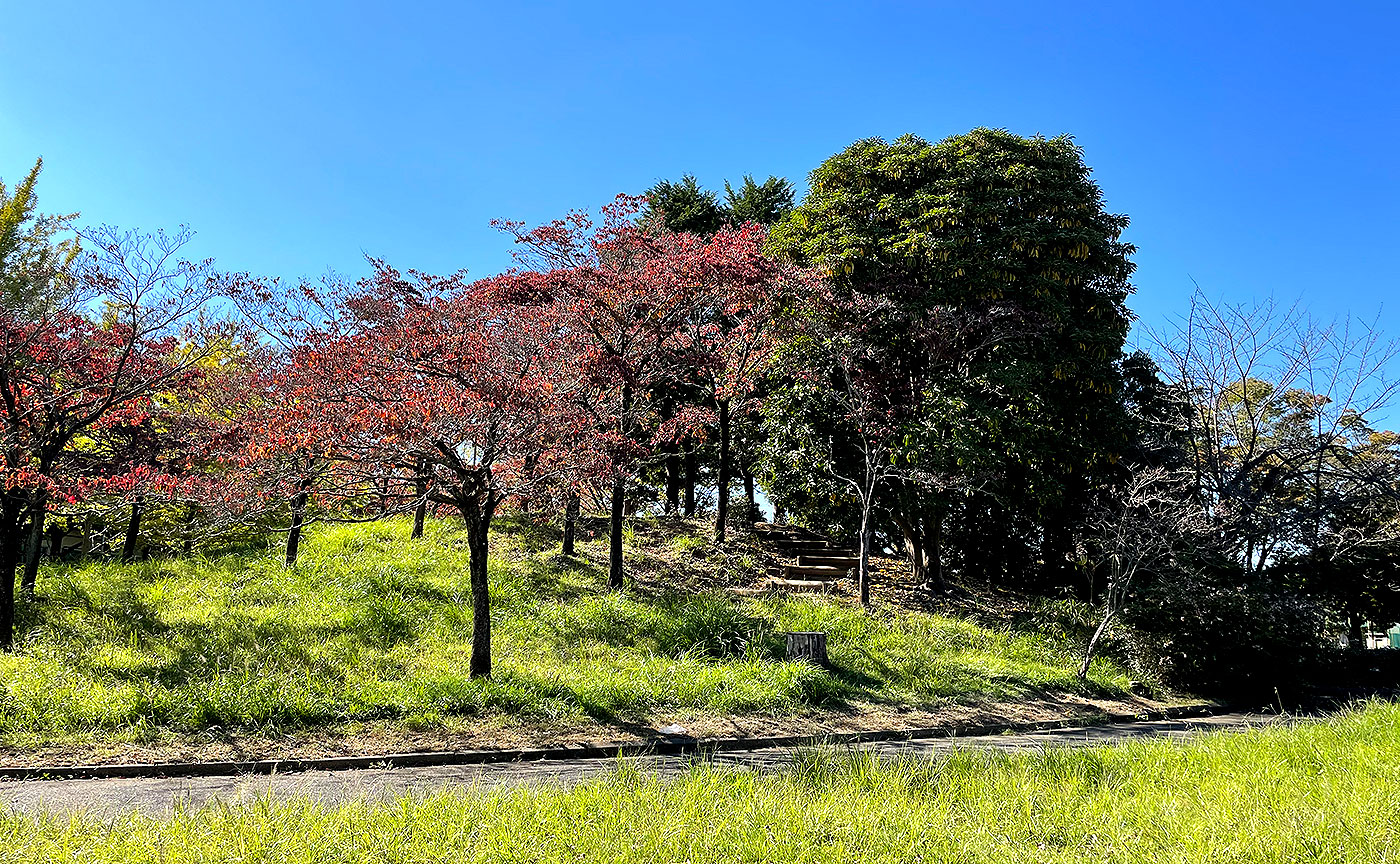 虹ヶ丘公園