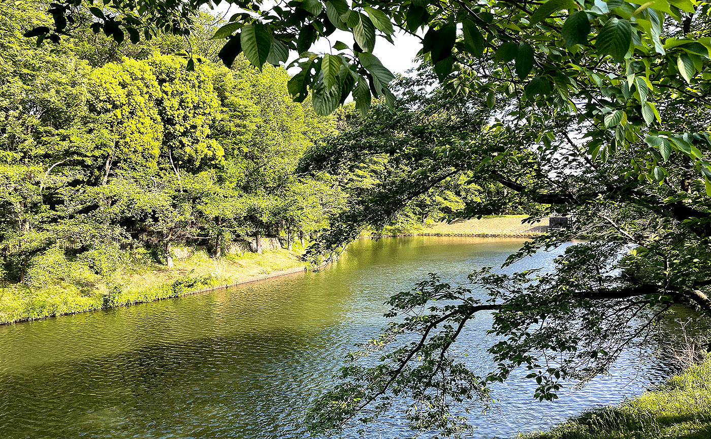 籠口ノ池公園