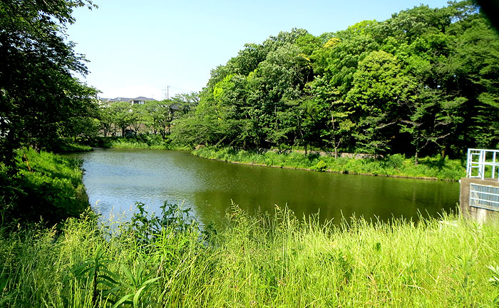 籠口ノ池公園