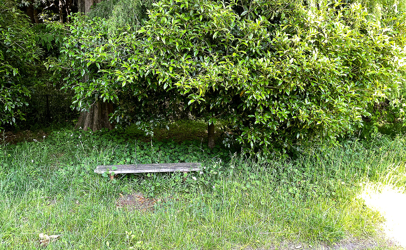 栗木台まみ沢公園