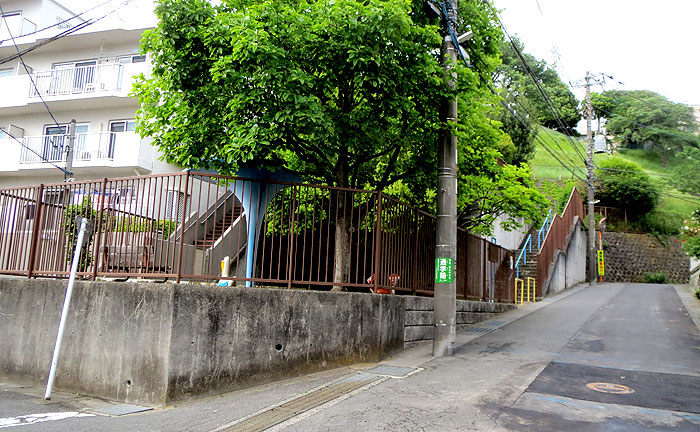 千代ヶ丘山辺公園