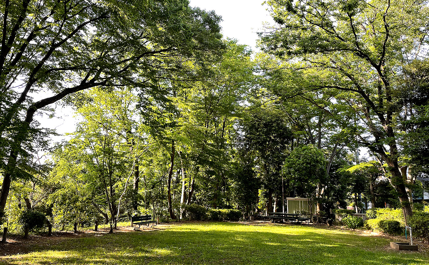 籠口ノ池公園