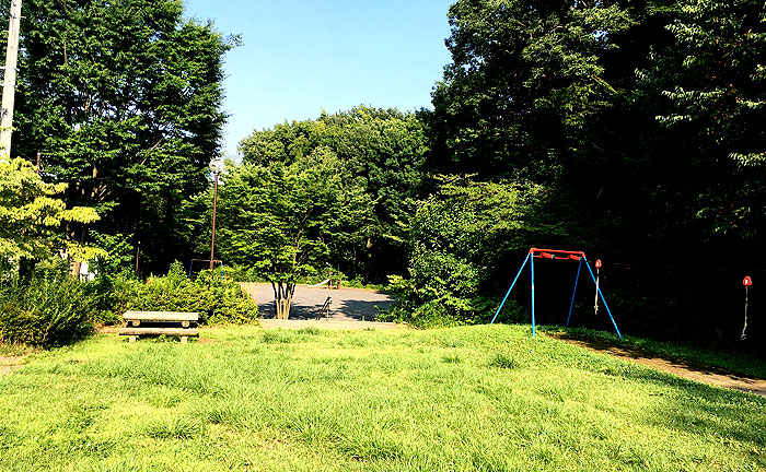 細山金井久保中央公園