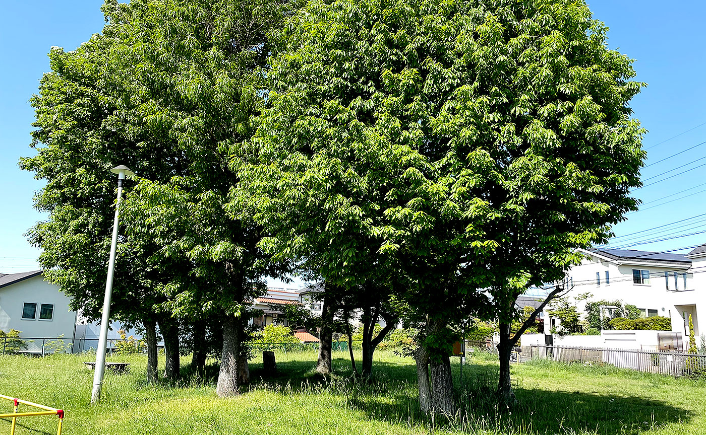 王禅寺北第3公園