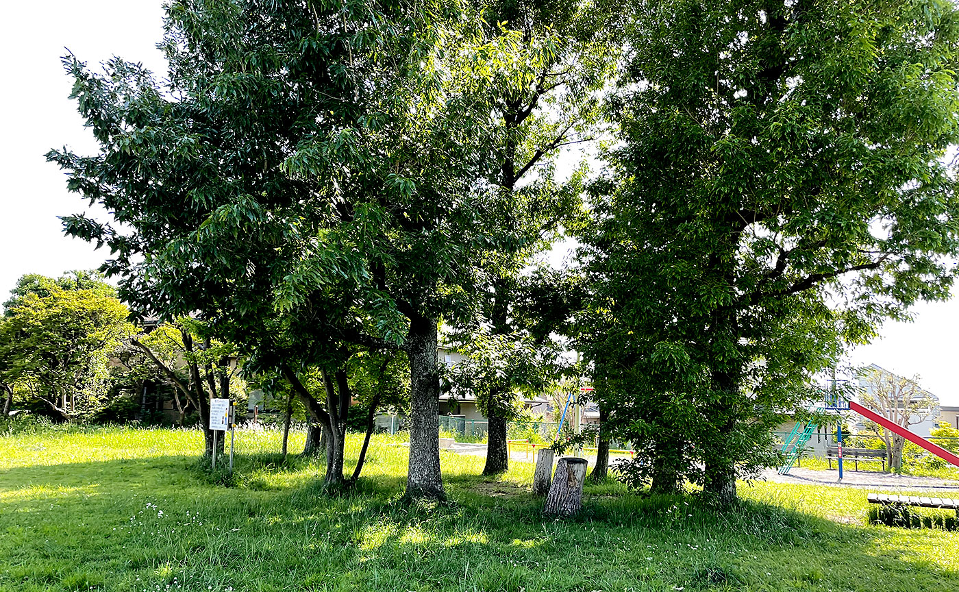 王禅寺北第3公園