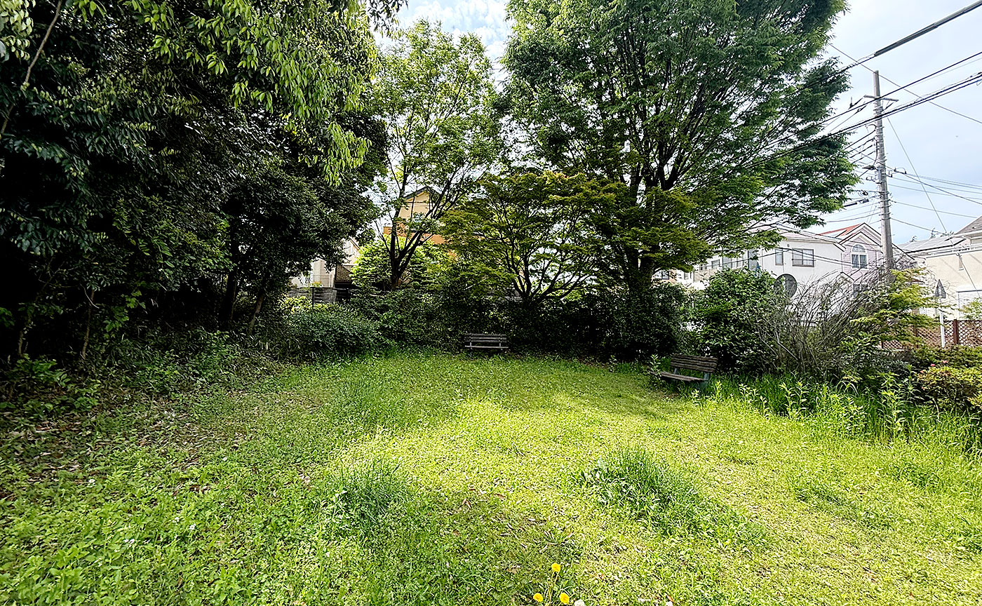 細山金井久保中央公園