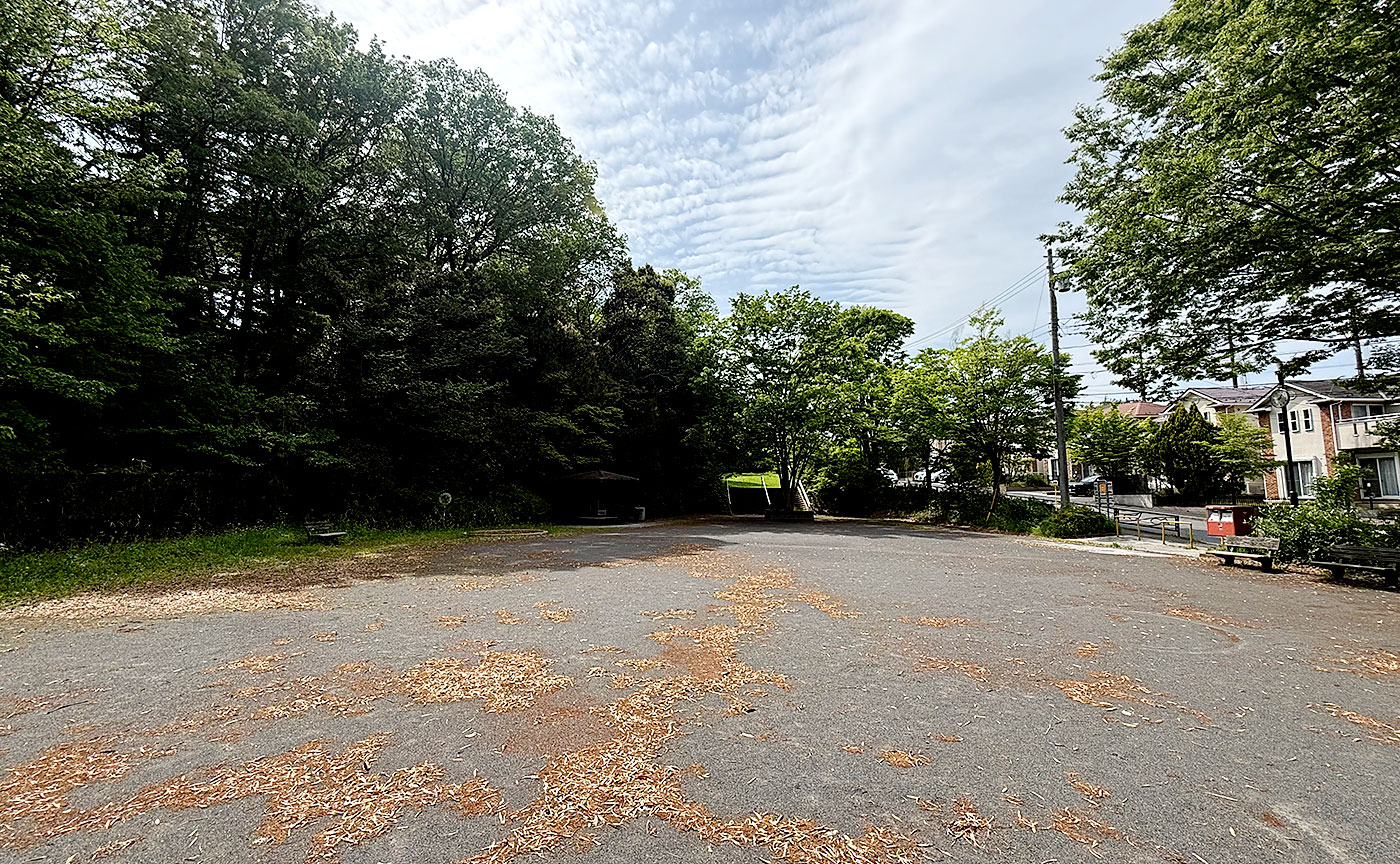 細山金井久保中央公園